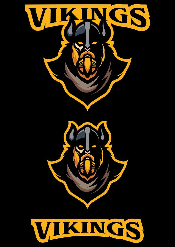 Vikings Team Mascot vector