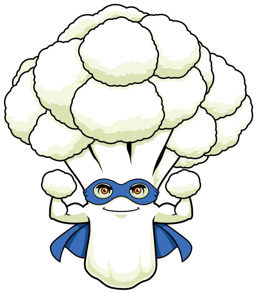 Cauliflower Superhero Mascot vector