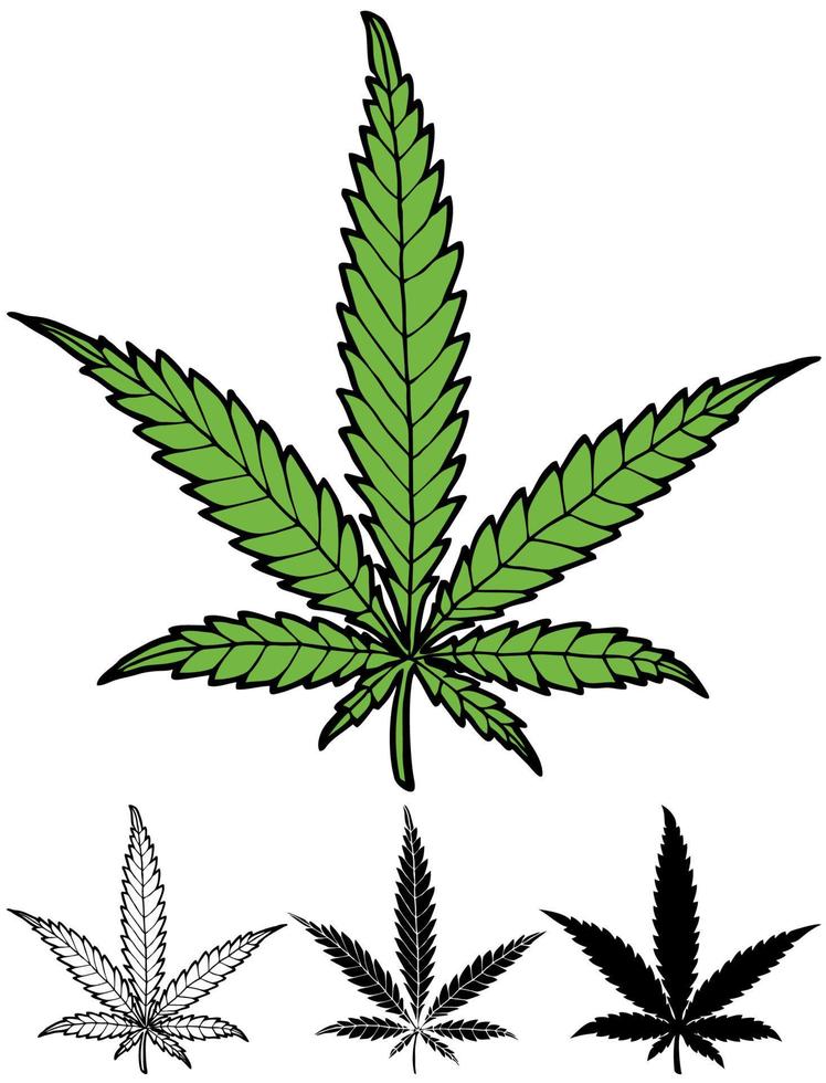 Hemp Leaf Design vector