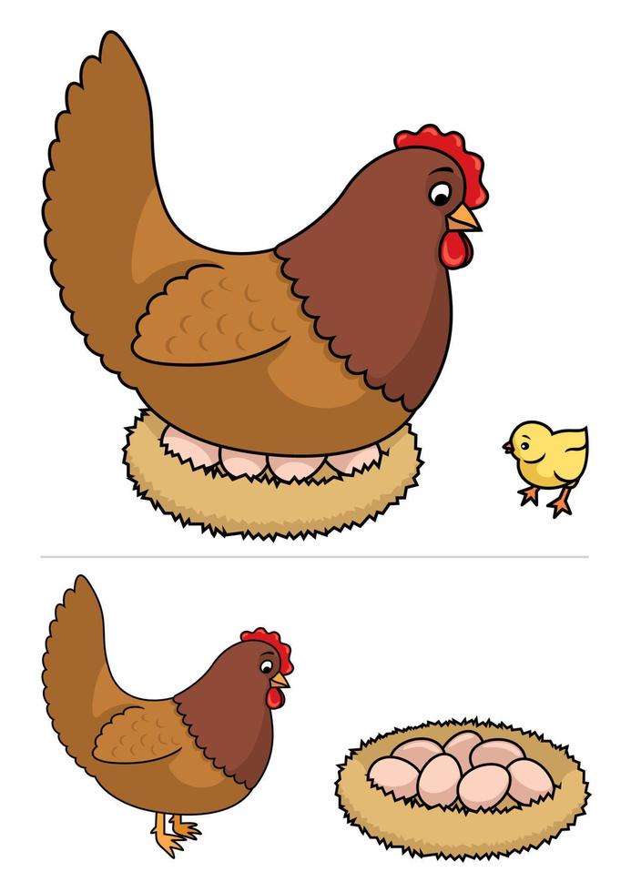 Hen Chick Eggs vector
