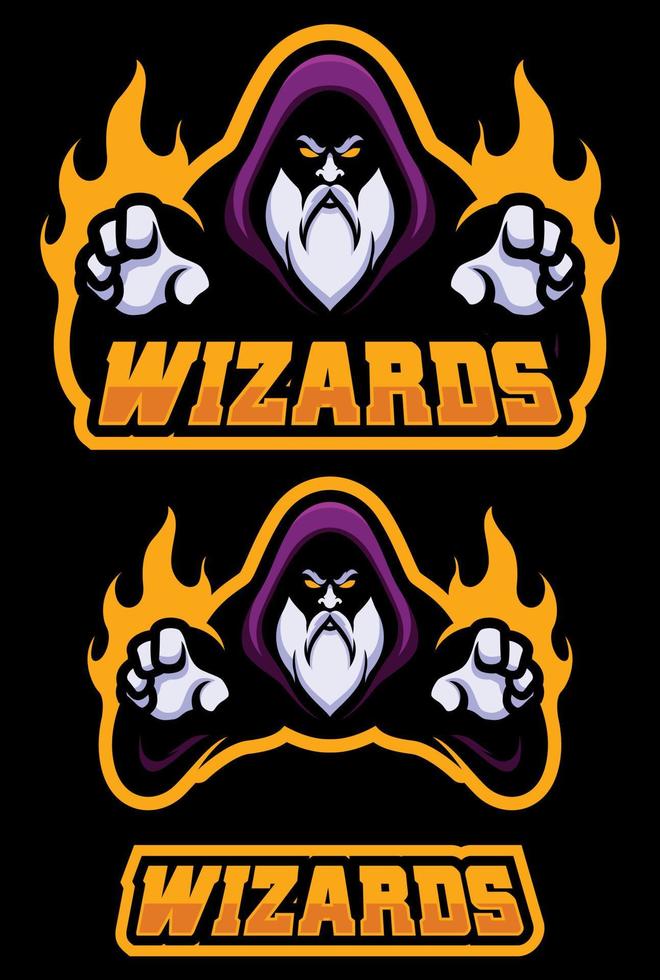 Wizards Team Mascot vector