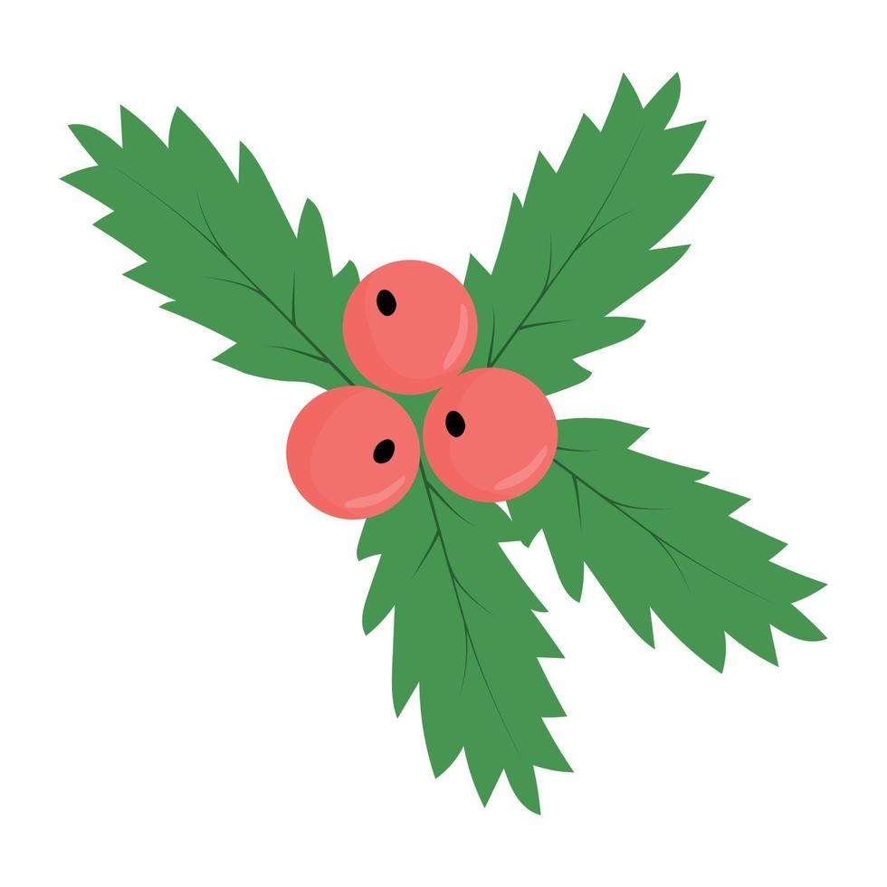 Cartoon simple mistletoe vector