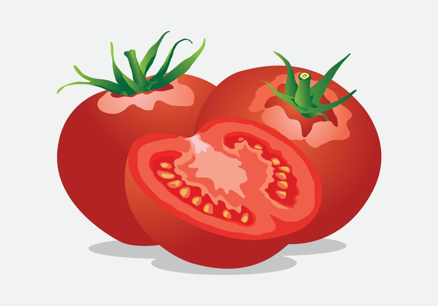 vector de tomate fresco en rodajas