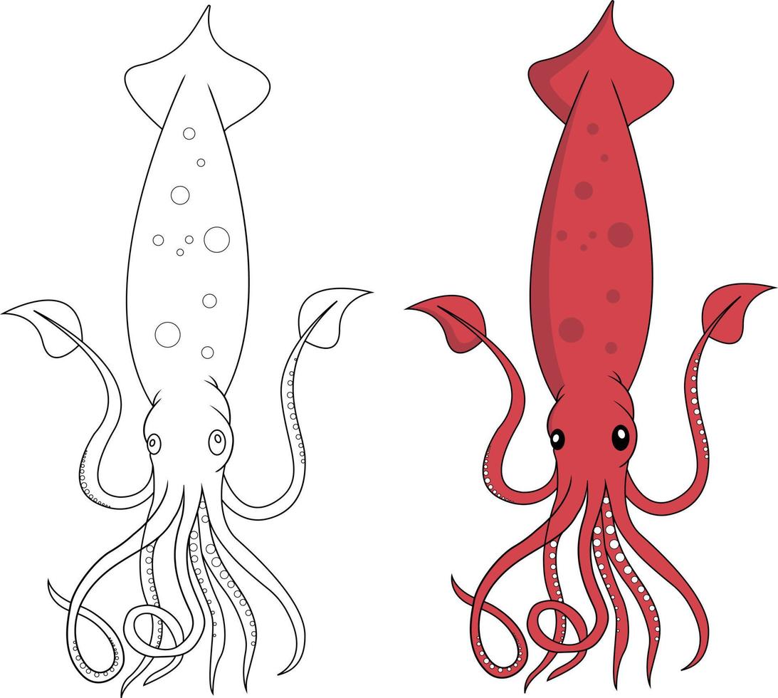 conjunto de ilustración de vector de diseño de animales de mar de calamar.