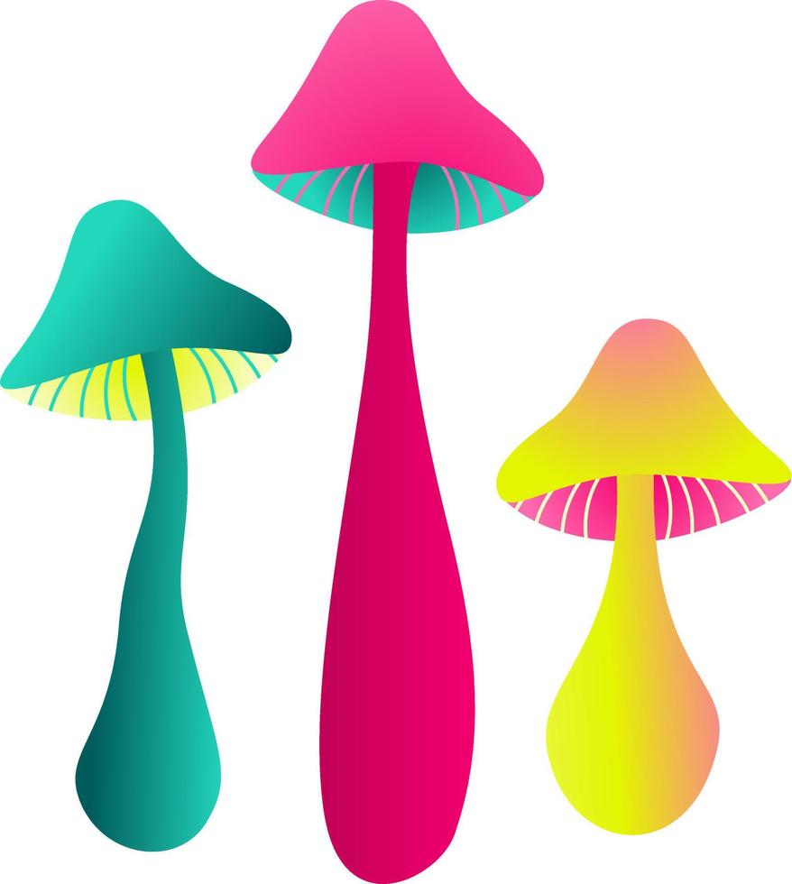 Bright Color Mushrooms Vector