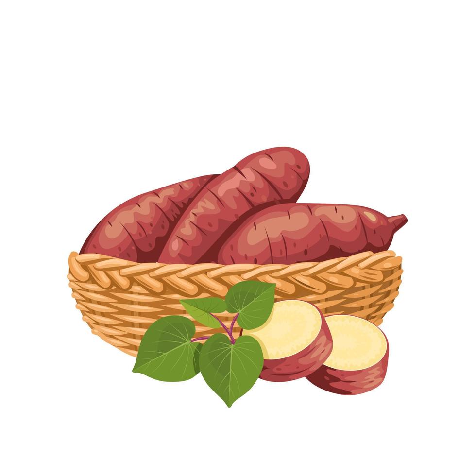 Vector illustration, sweet potato in a basket, with fresh leaves and slices, isolated on white, suitable for posters, websites, brochures and agricultural product packaging.