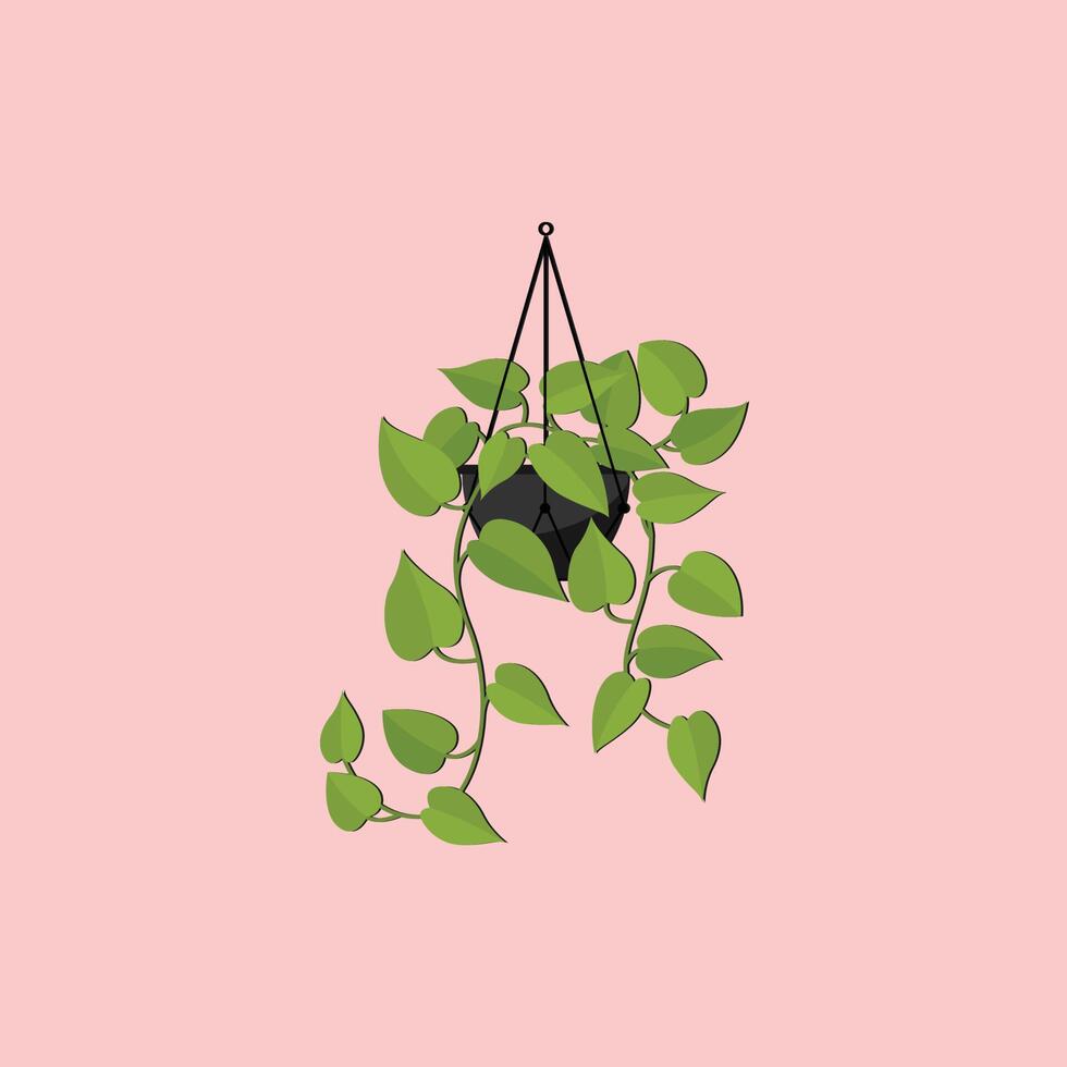 House plant vector illustration isolated pink background 14856790