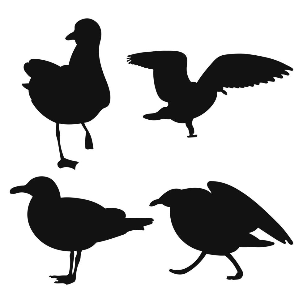 Vector set of standing seagulls gull, various silhouettes of wild birds hand drawn, isolated vector