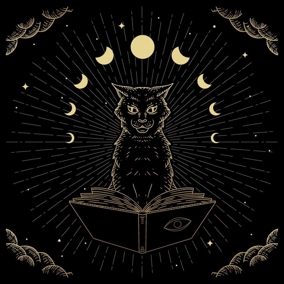 Hand drawn Magical and mystical black cat vector