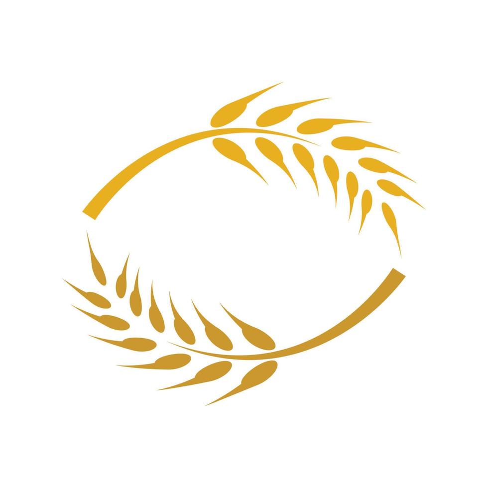 Wheat logo images vector