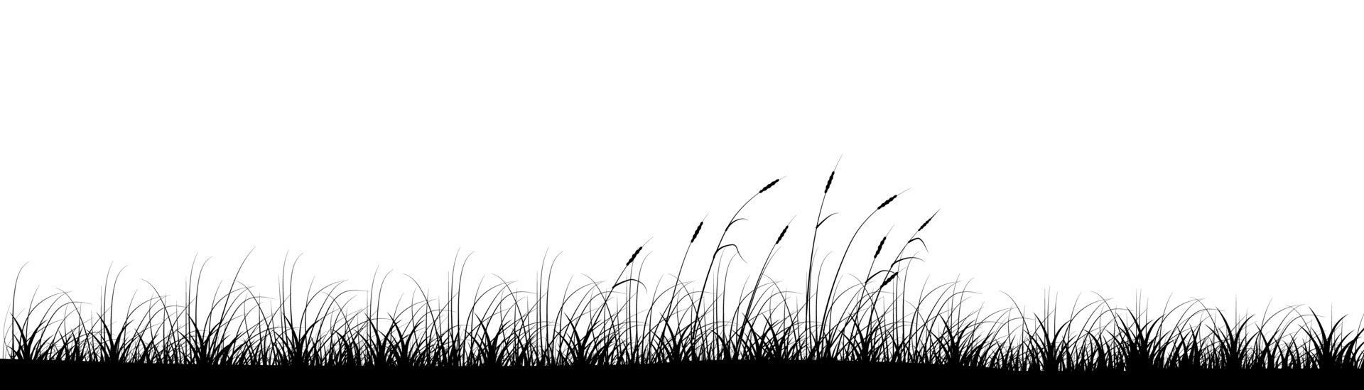 Reeds in meadow grass panoramic background design. Wild nature. Vector  illustration with empty copy space for text. Editable shape for poster  decoration. Creative and customizable panorama image 14858290 Vector Art at  Vecteezy