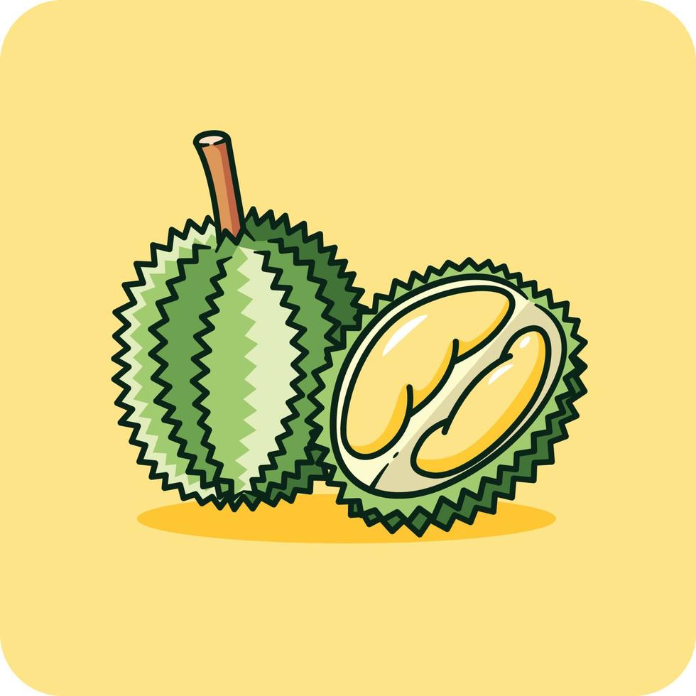 Durian fruit whole and peeled, isolated on background vector illustration.