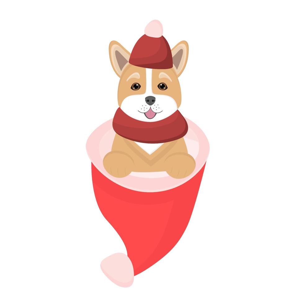 Dog Corgi sits in red Santa hat. Cute pets for congratulation New Year, Christmas. Illustration for dog lovers, veterinary clinics, pet shops. vector