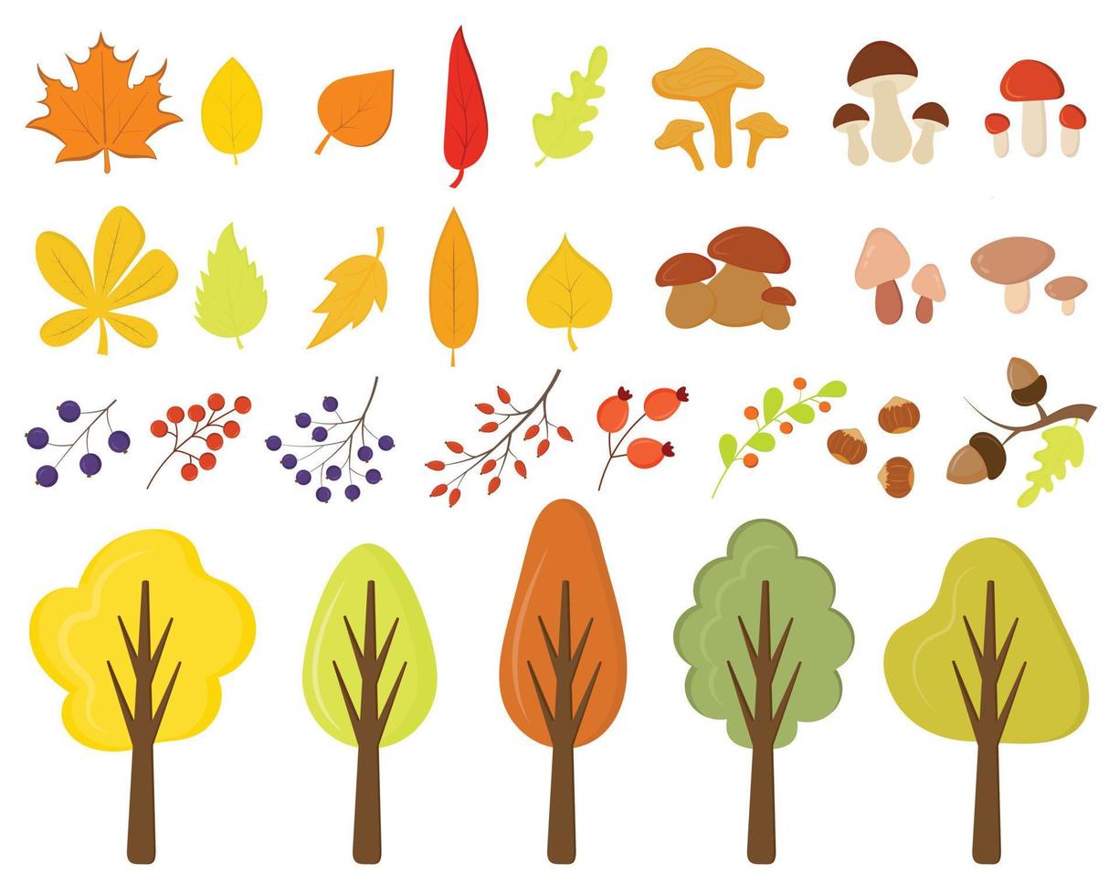 Autumn trees, leaves, mushrooms, berries isolated on a white background. Collection of autumn elements. Forest gold and green branches, autumn yellow and orange park trees. Set of autumn plants. vector