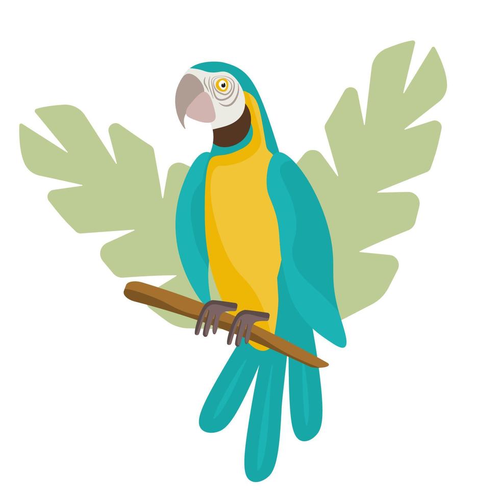 Bright colored parrot and tropical leaves. Cockatoo parrot in the tropics. Exotic birds. Multicolored summer bird. vector
