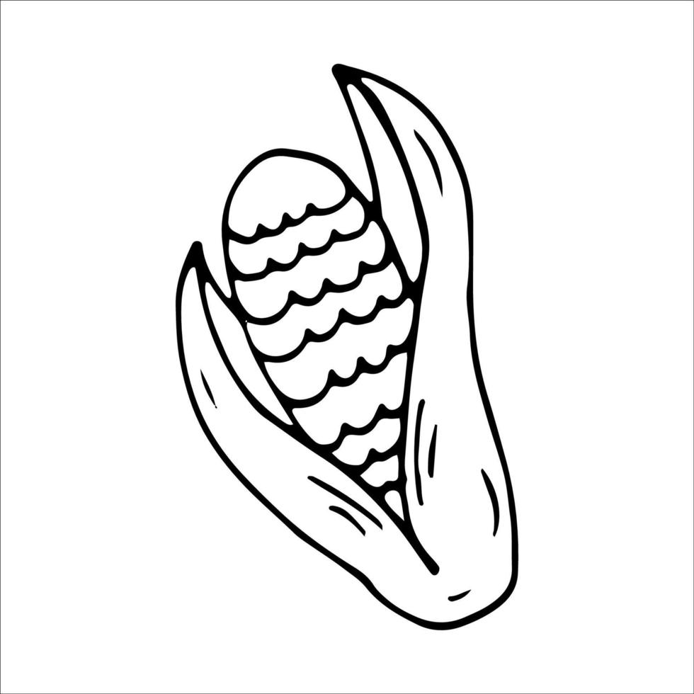 página para colorear de maíz, elemento de diseño. estilo garabato. ilustración vectorial vector