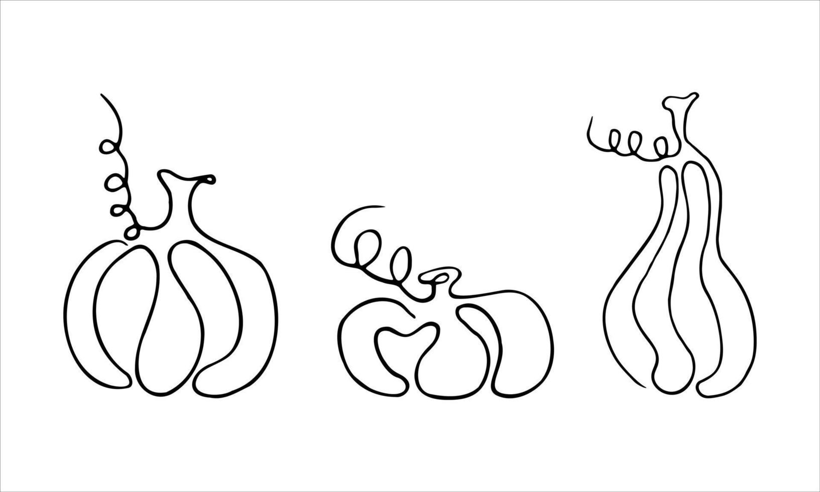 Pumpkin line art. Autumn harvest, thanksgiving and halloween attributes Coloring Vector illustration