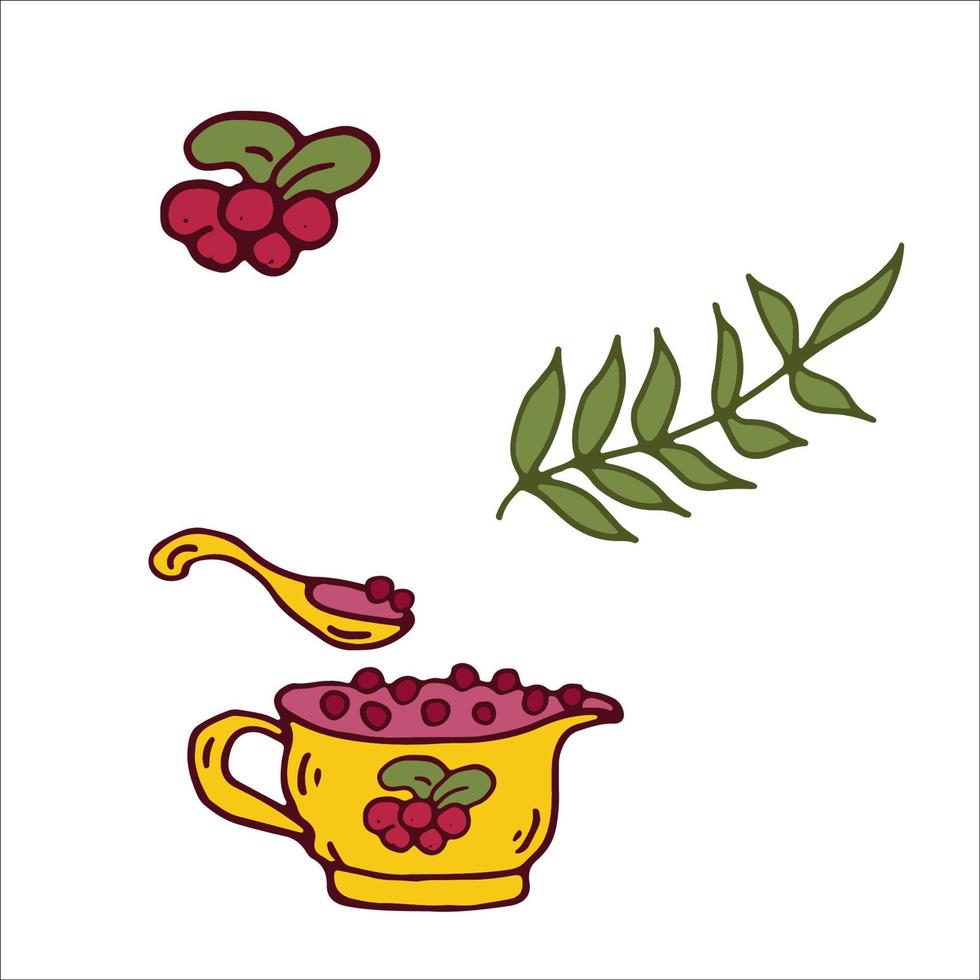 Cranberry sauce, jam, berries doodle. Element for Thanksgiving day. Isolated Vector Illustration