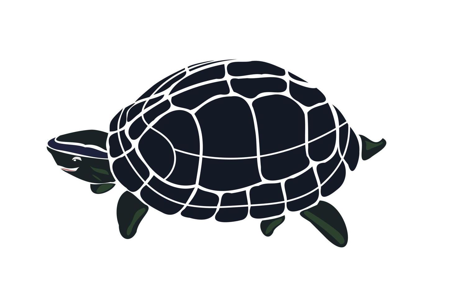 Cute turtle isolated on white background vector