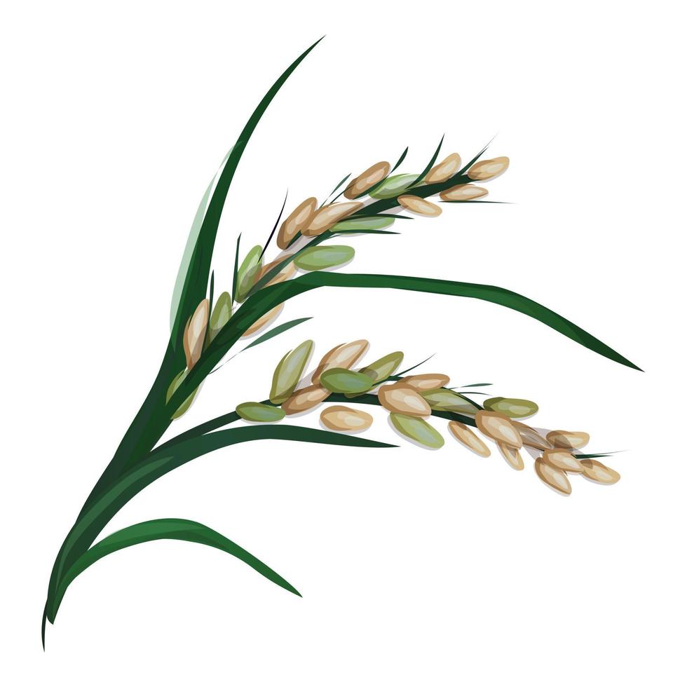 Spike of rice icon cartoon vector. Asian agriculture vector