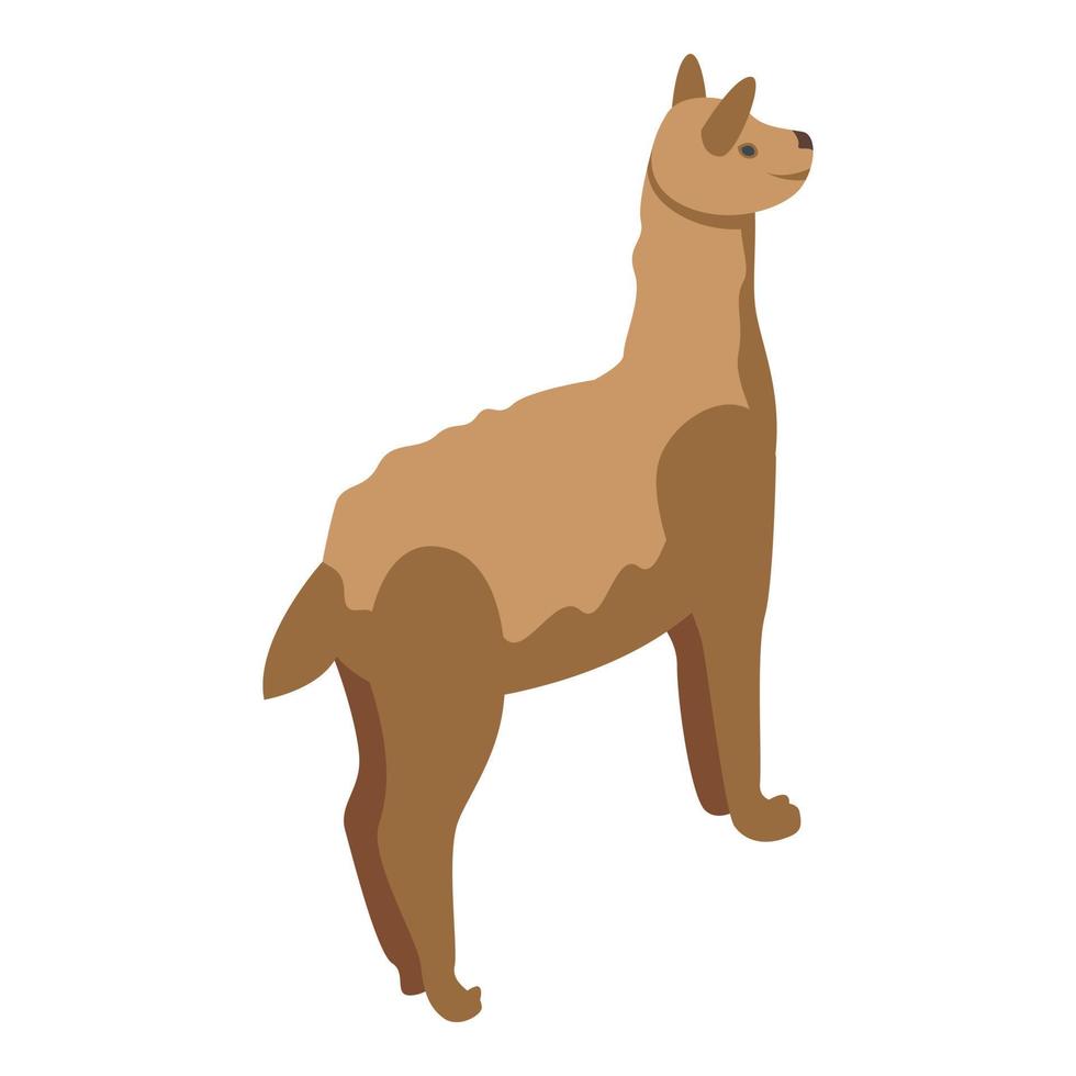 Llama icon isometric vector. Cute animal vector