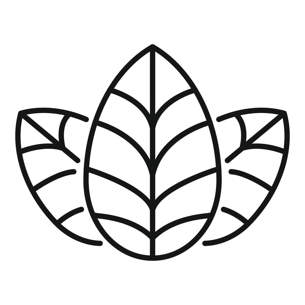 Basil plant icon outline vector. Leaf herb 14861660 Vector Art at Vecteezy