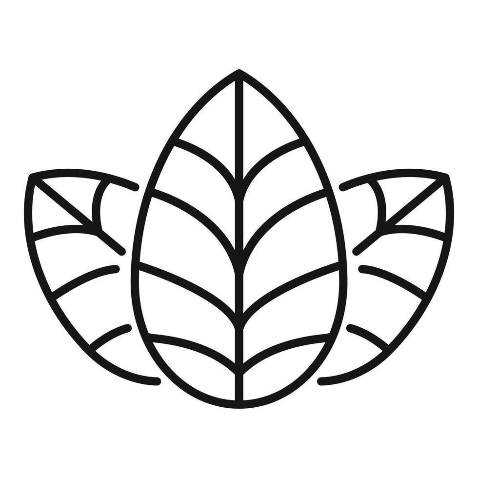 vector de contorno de icono de planta de albahaca. hierba de hoja