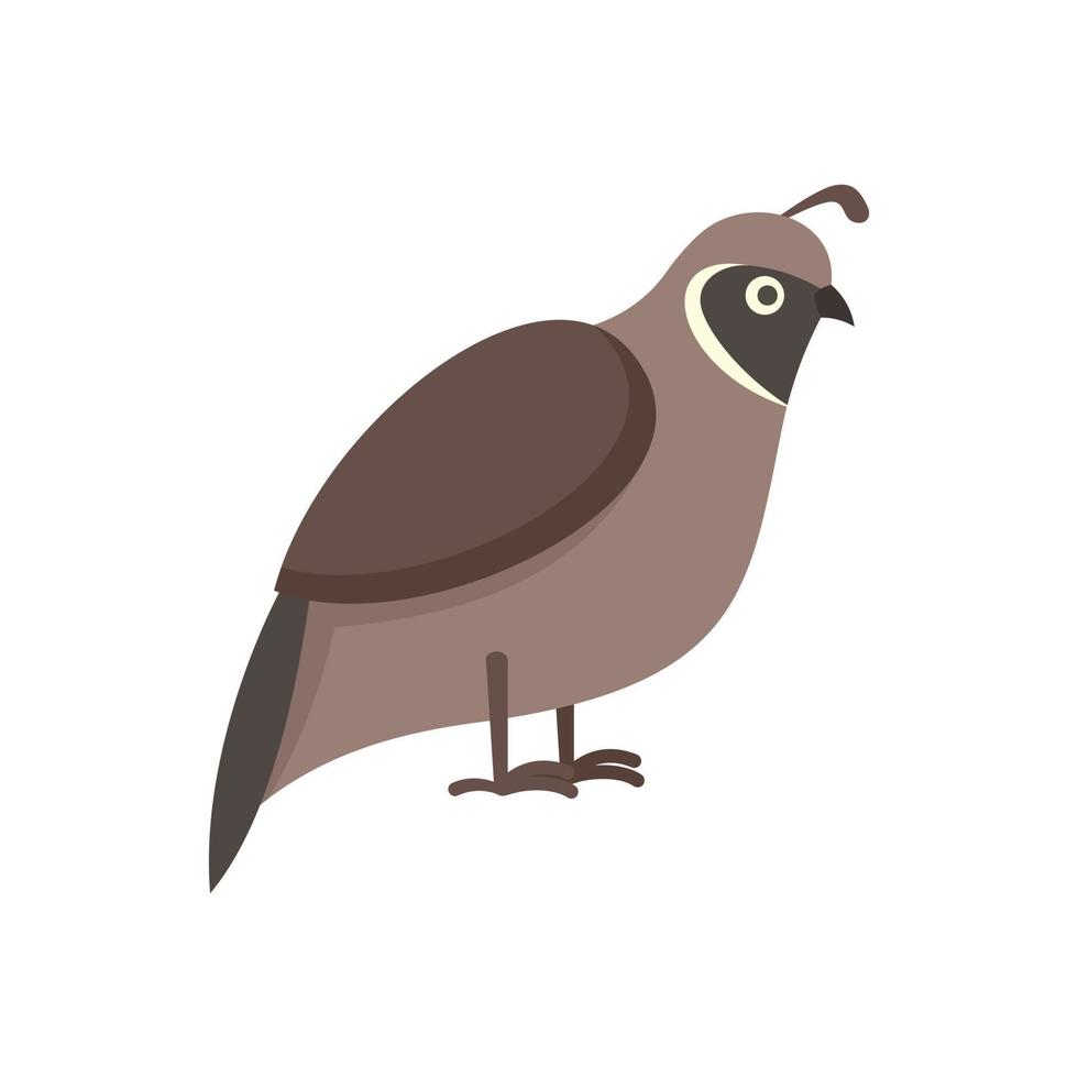 Quail domestic icon flat isolated vector