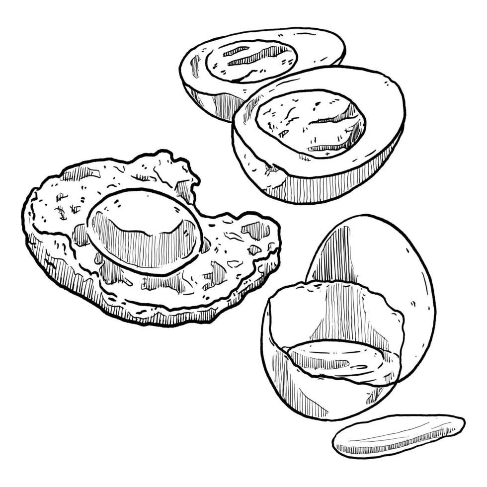 set of sketch and hand drawn egg and boiled egg fried egg vector