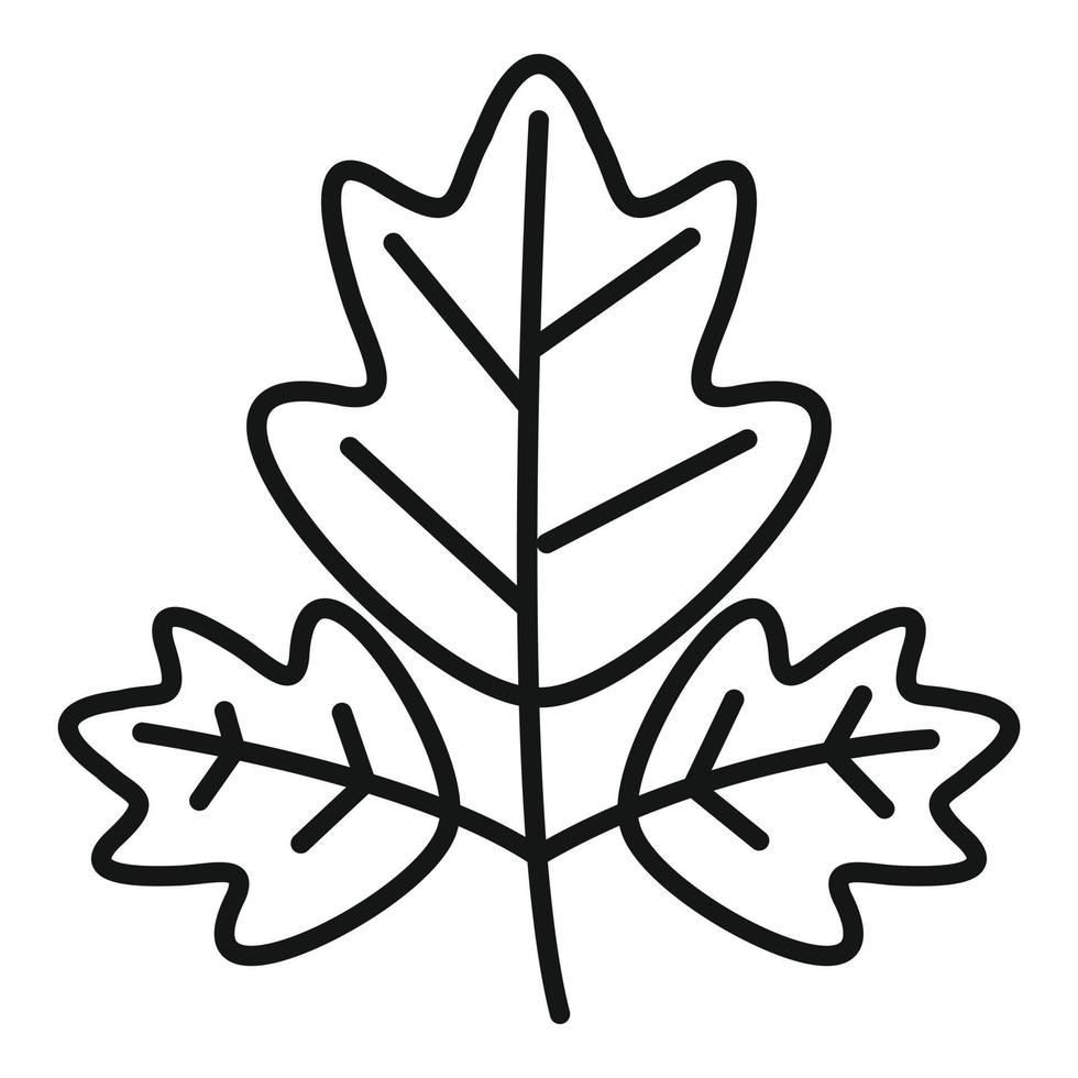 Parsley salad icon outline vector. Leaf herb vector