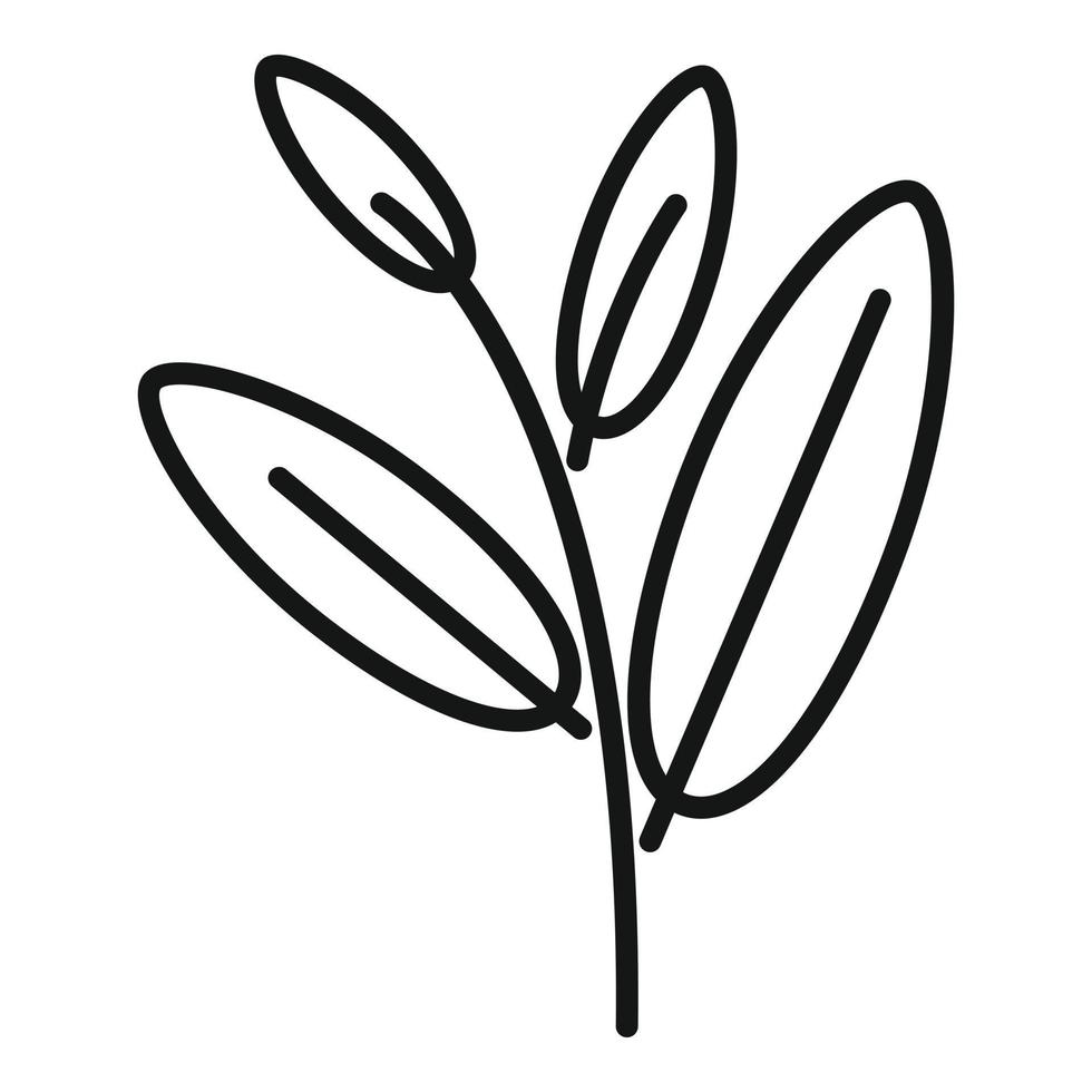 Sage cedar icon outline vector. Mint tea vector