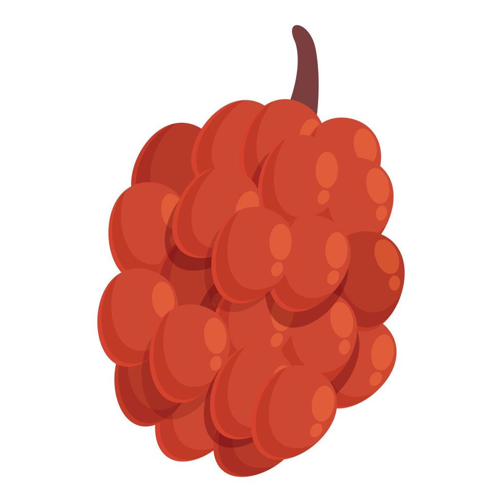 vector de dibujos animados de icono de fruta de aceite. comida de palma