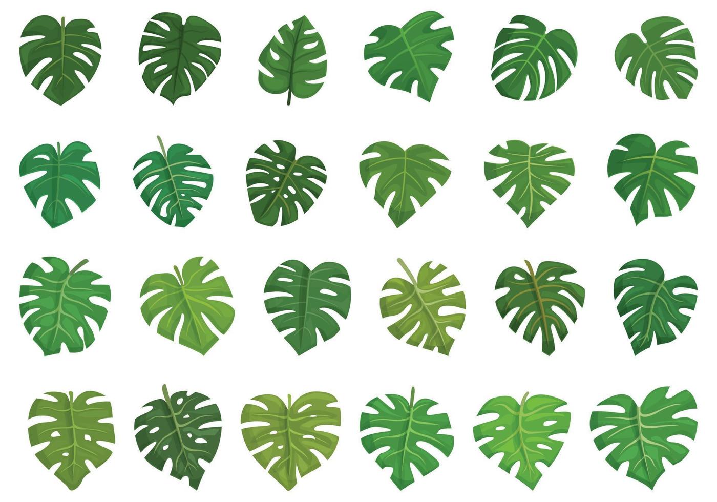 Monstera icons set cartoon vector. Palm leaf vector