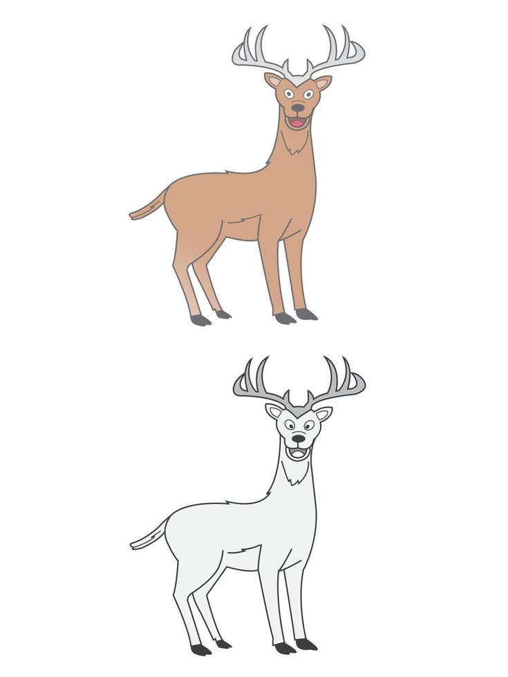 animales salvajes coloreados y con bocetos vector