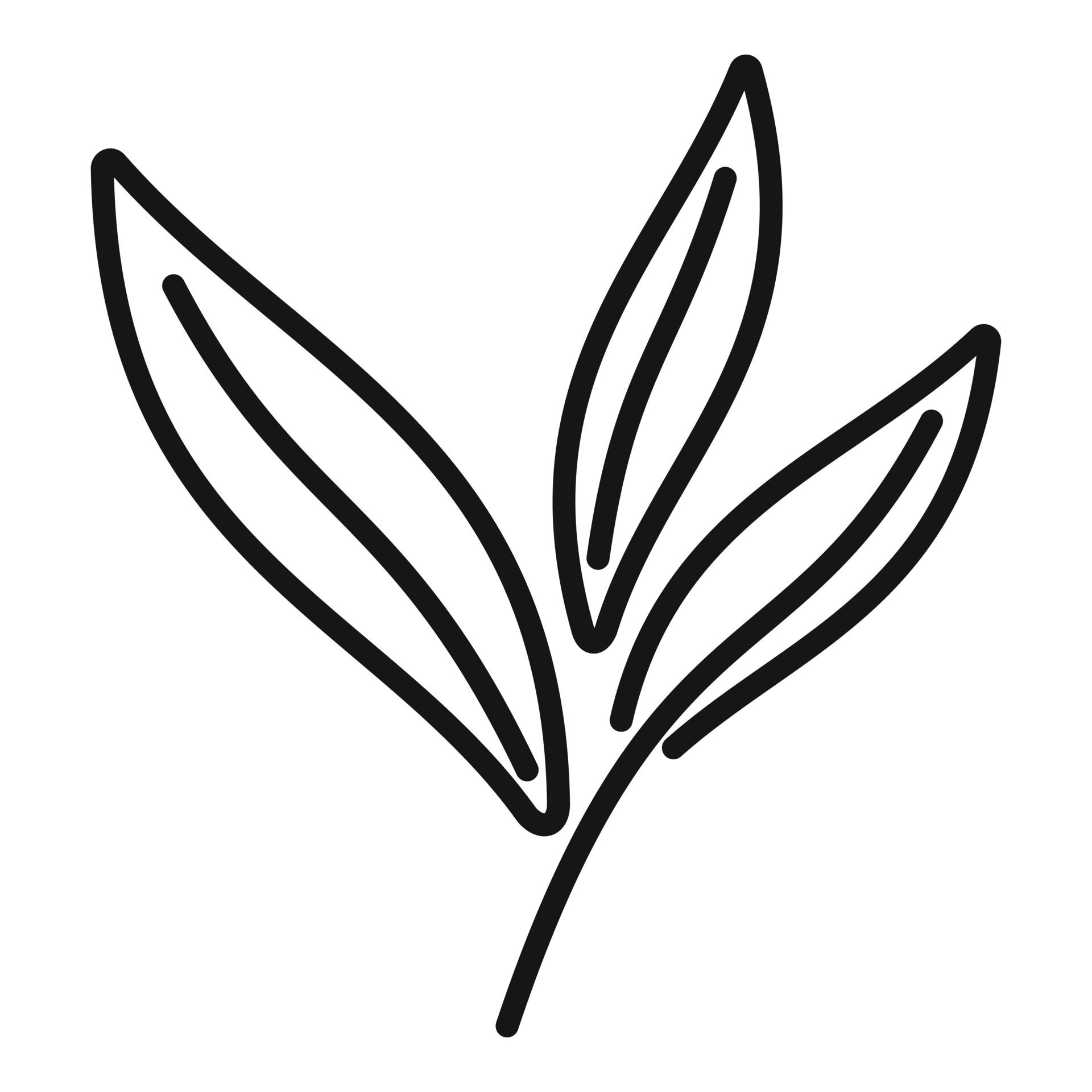 Sage plant icon outline vector. Herb leaf 14864808 Vector Art at Vecteezy