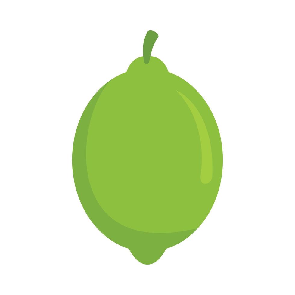Lime icon flat isolated vector