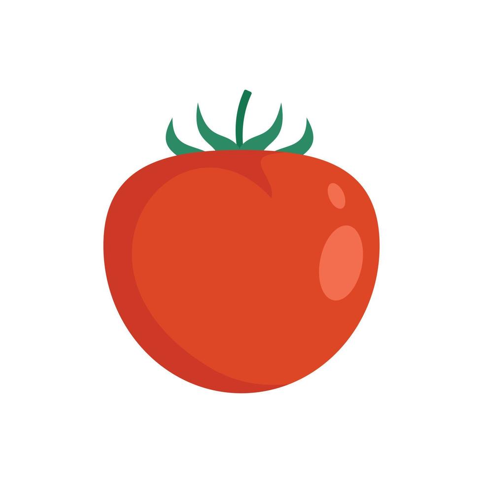 Organic red tomato icon flat isolated vector