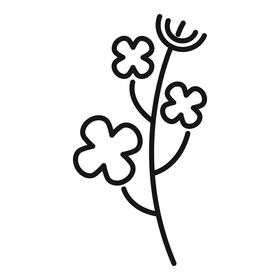 vector de contorno de icono de planta de canola. flor de aceite