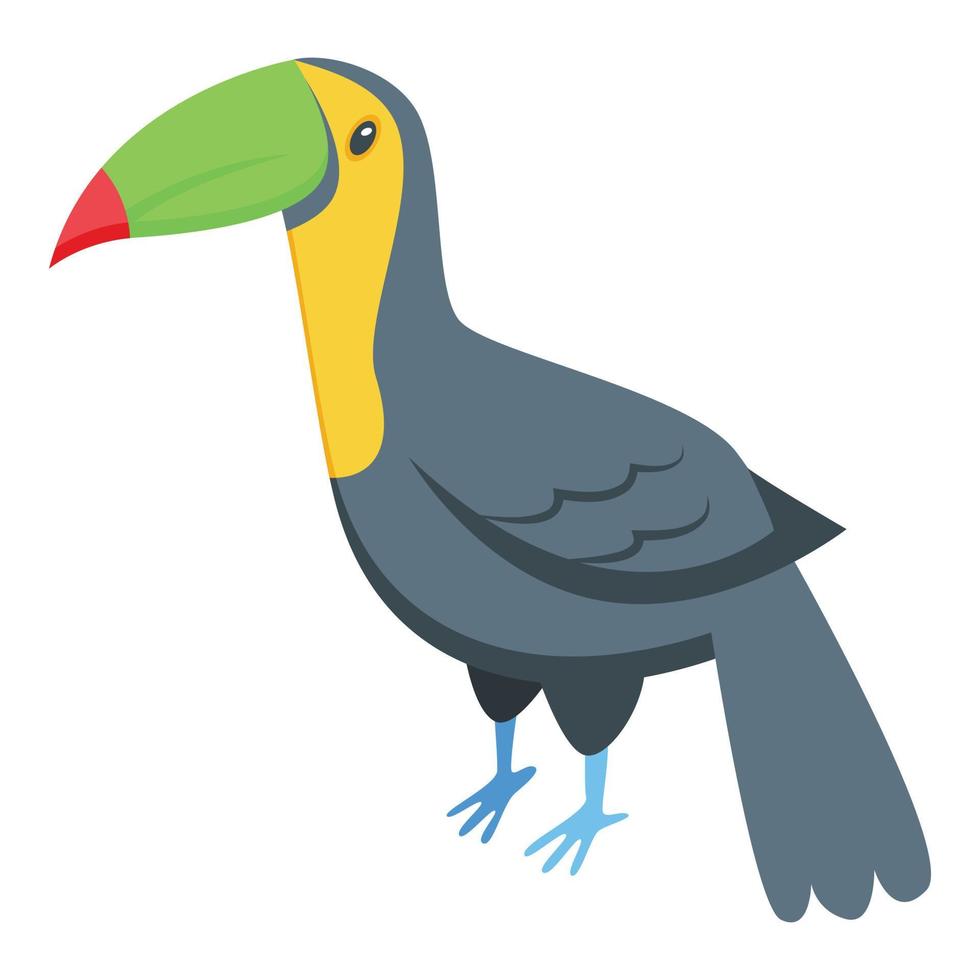 icono de pájaro tucán vector isométrico. viajes nicaragua
