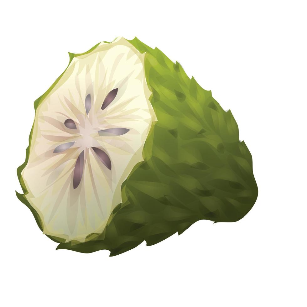 vector de dibujos animados de icono de guanábana de alimentos. zumo de frutas