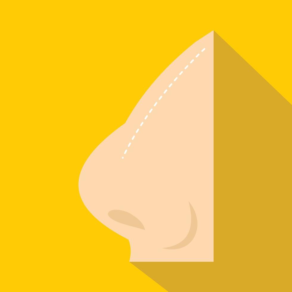 Plastic surgery of nose icon, flat style vector