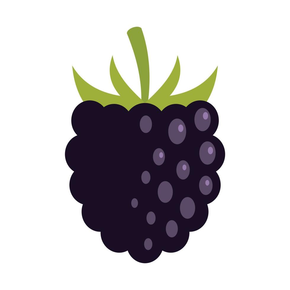 serbal blackberry icono plano aislado vector