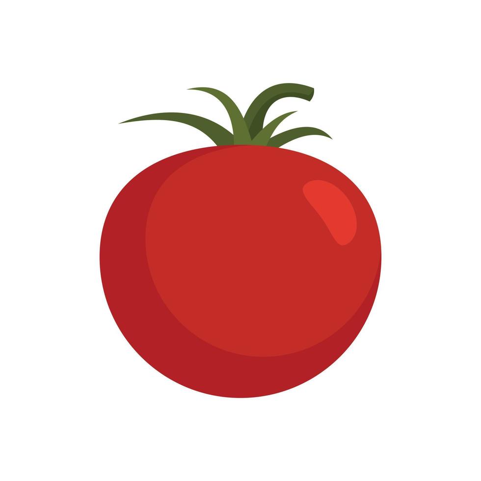 Cherry tomato icon flat isolated vector