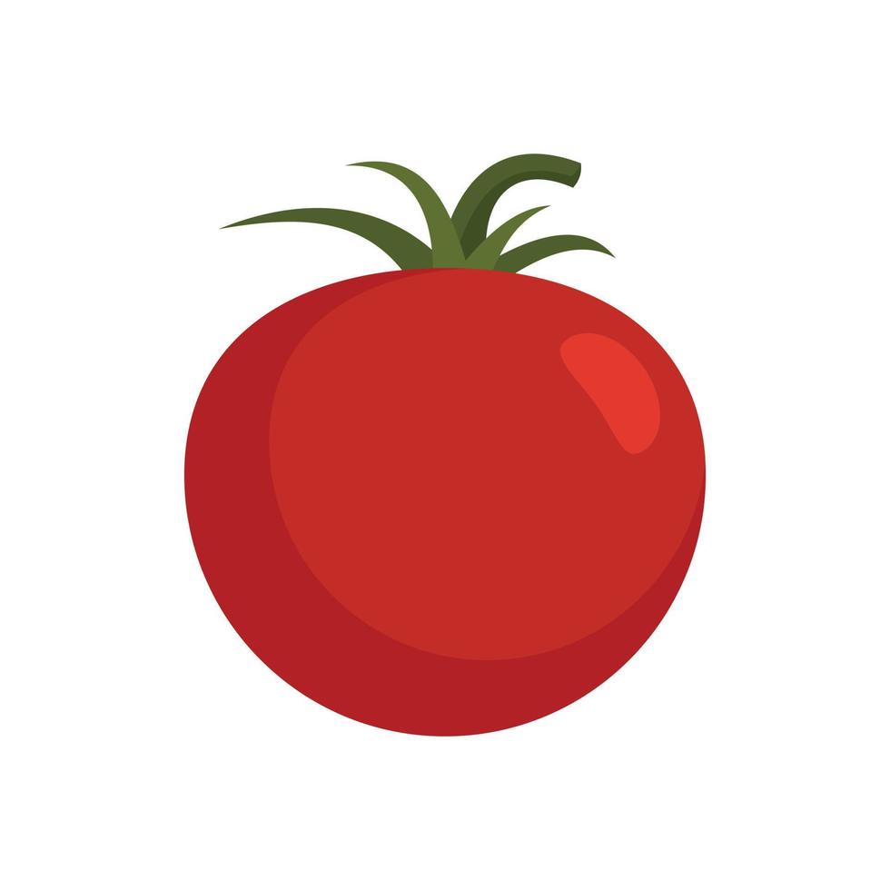 icono de tomate cherry vector aislado plano