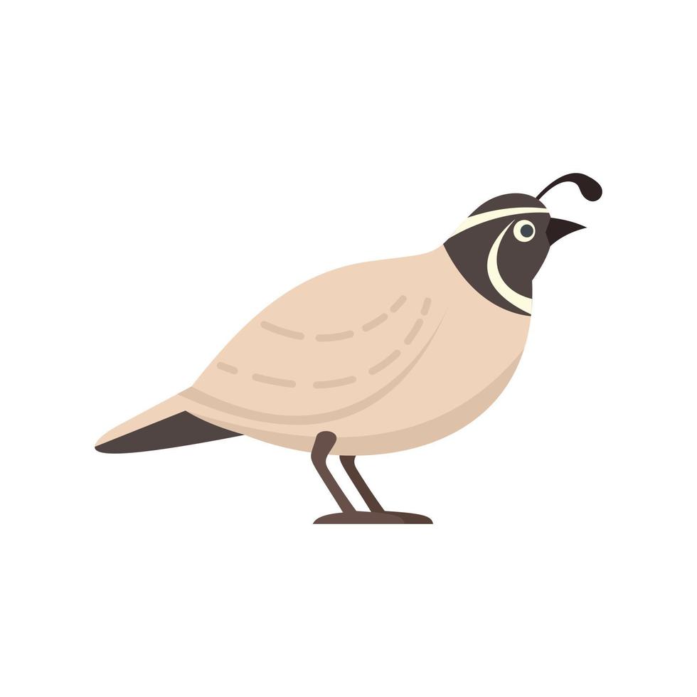 Quail adorable icon flat isolated vector
