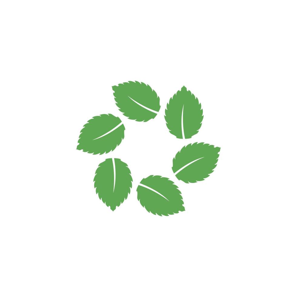 Mint leaf vector icon illustration