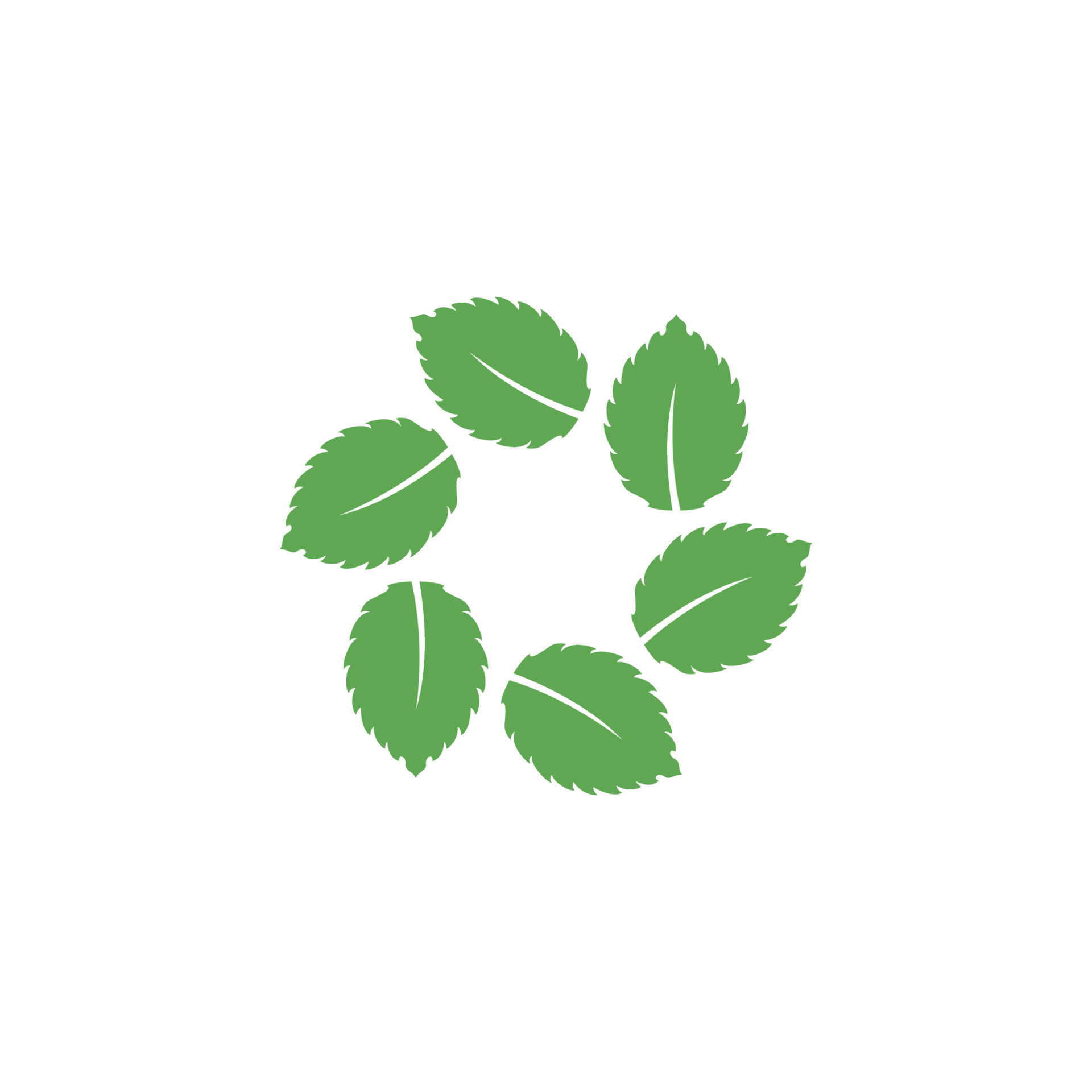 Mint leaf vector icon illustration 14867014 Vector Art at Vecteezy