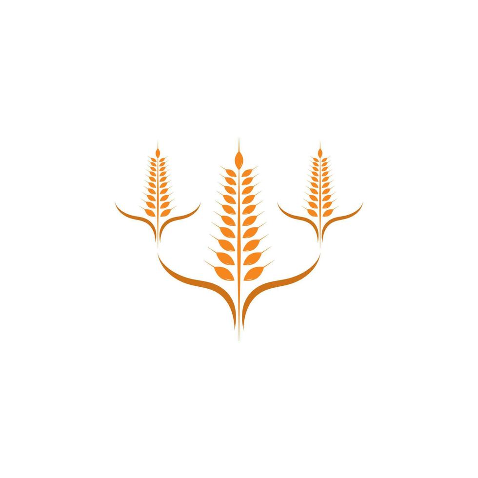 Agriculture wheat Logo Template vector icon