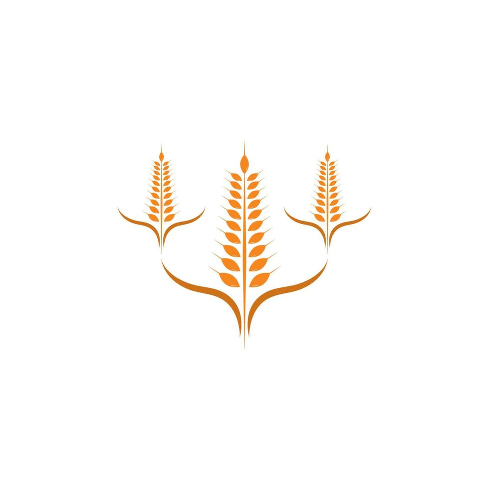 icono de vector de plantilla de logotipo de trigo de agricultura