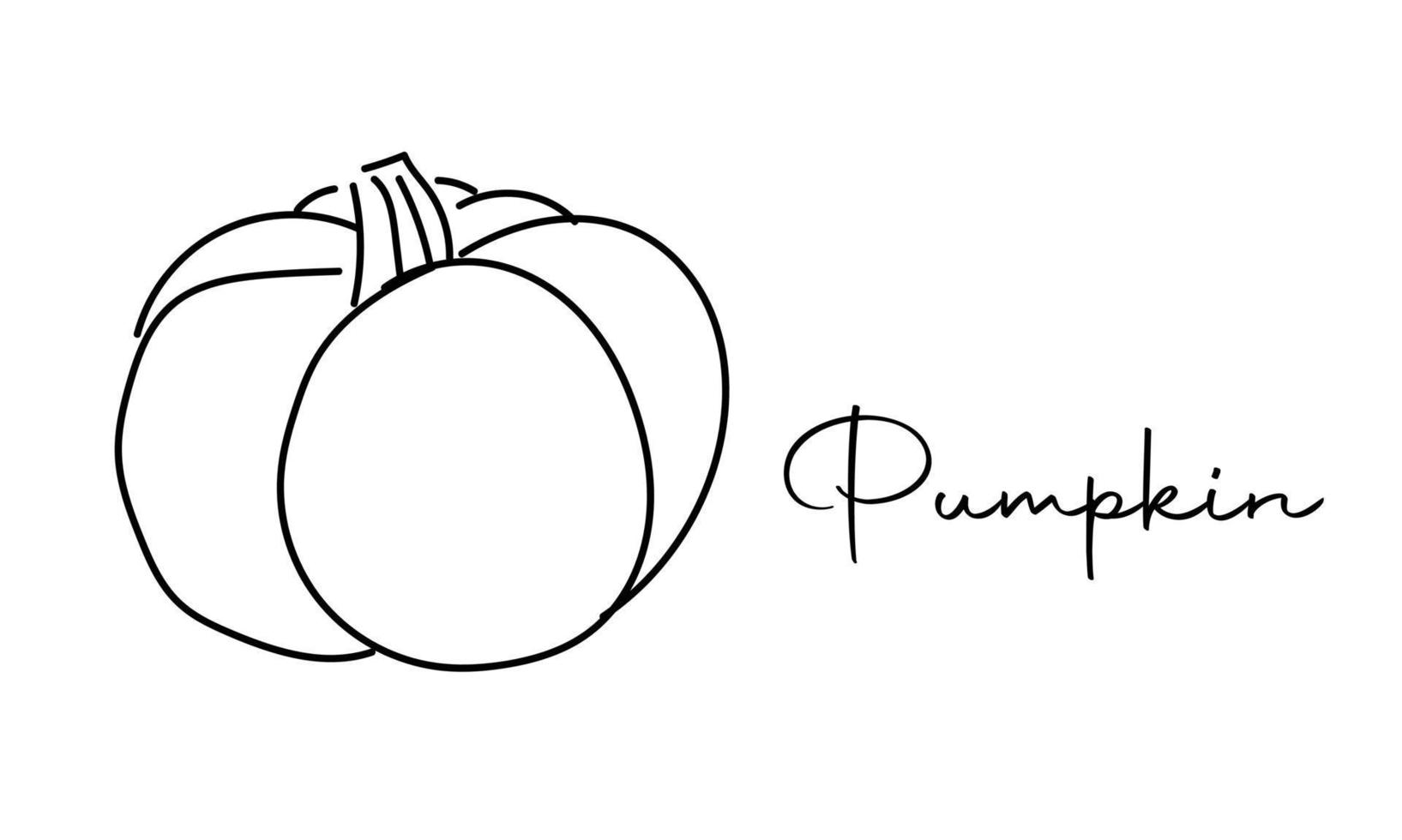 calabaza vectorial dibujada a mano sobre fondo blanco para el diseño decorativo de otoño, invitación de halloween, cosecha, garabato. ilustración de arte lineal de calabaza. vector